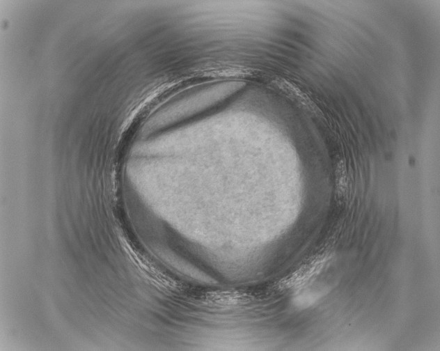 X0000059060351200510281638