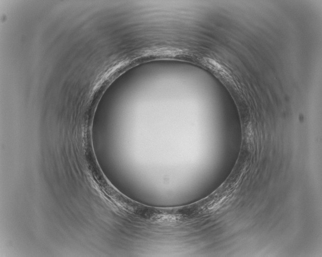 X0000059060352200510281638