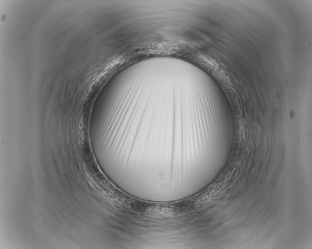 X0000059060354200510281638