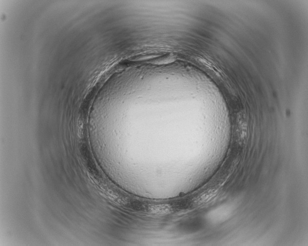 X0000059060355200510281638