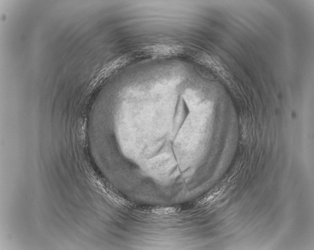 X0000059060357200510281638