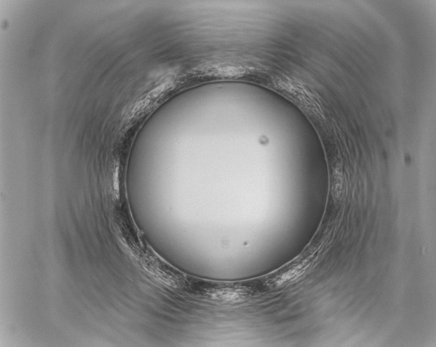 X0000059060358200510281638