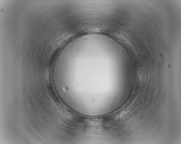 X0000059060359200510281638