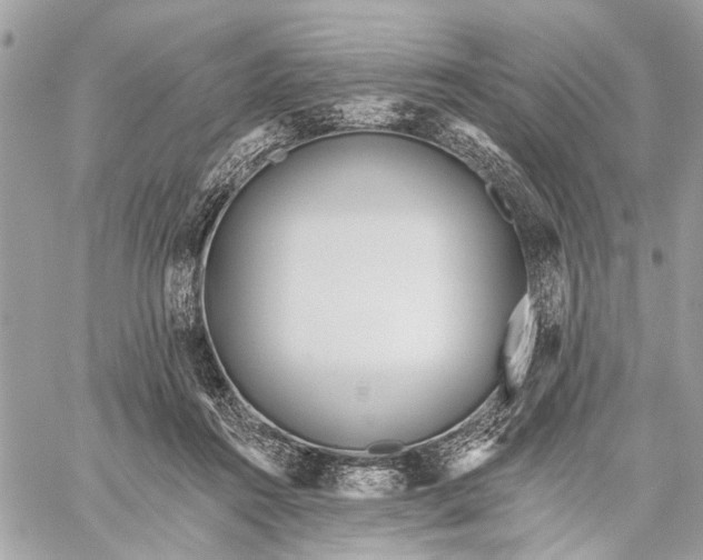 X0000059060360200510281638