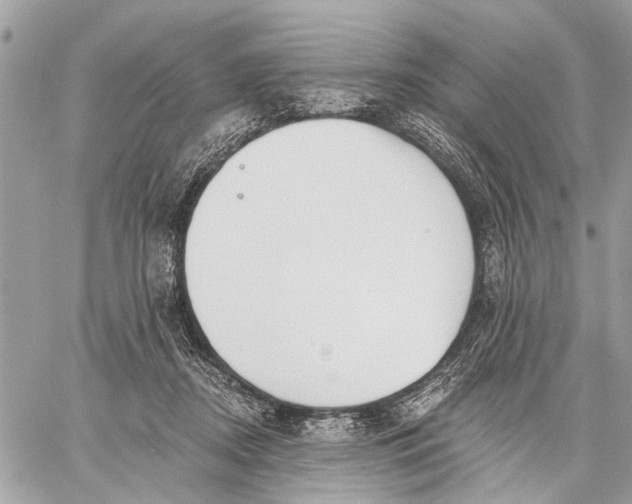 X0000059060362200510281638