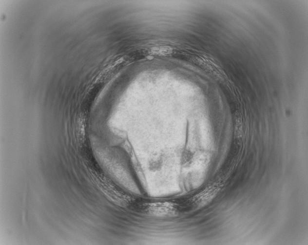 X0000059060363200510281638