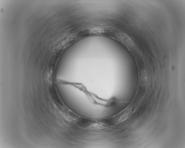 X0000059060364200510281638