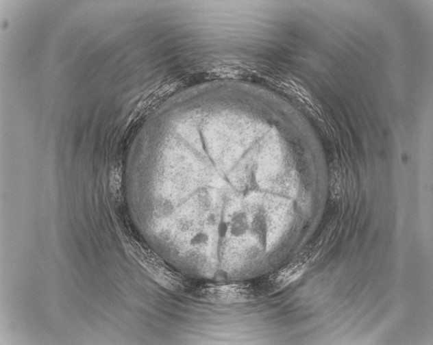 X0000059060365200510281638