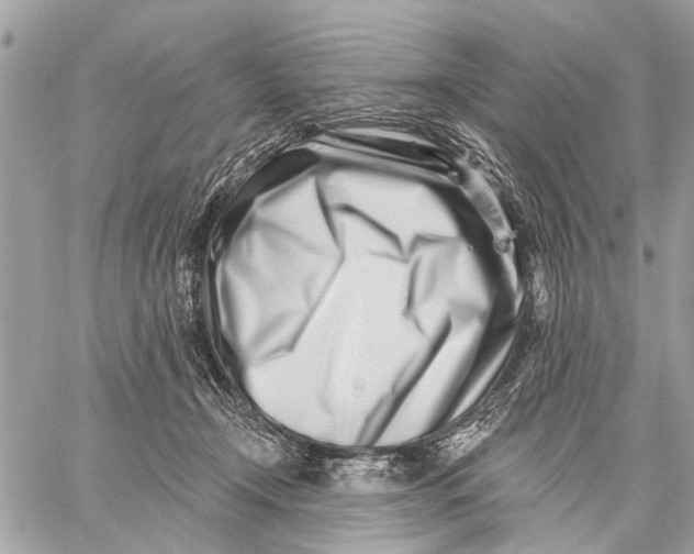 X0000059060366200510281638