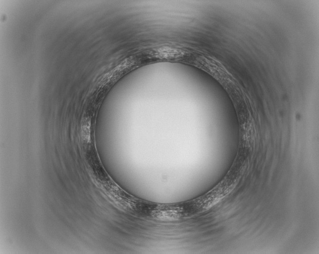 X0000059060368200510281638