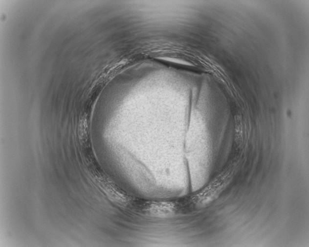 X0000059060369200510281638