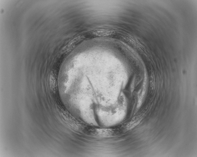 X0000059060371200510281638