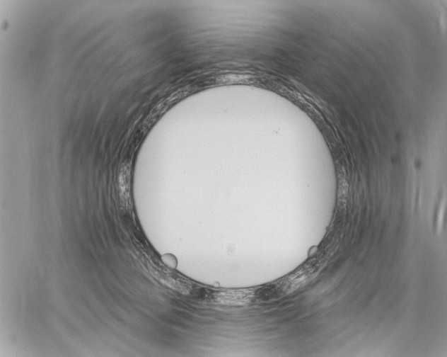 X0000059060373200510281638