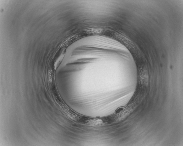 X0000059060374200510281639