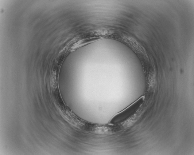 X0000059060376200510281639