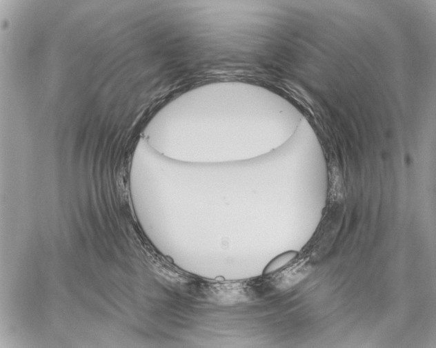 X0000059060377200510281639