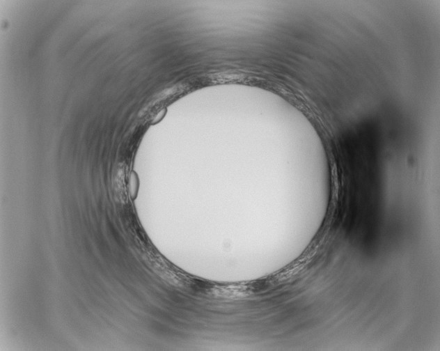 X0000059060378200510281639