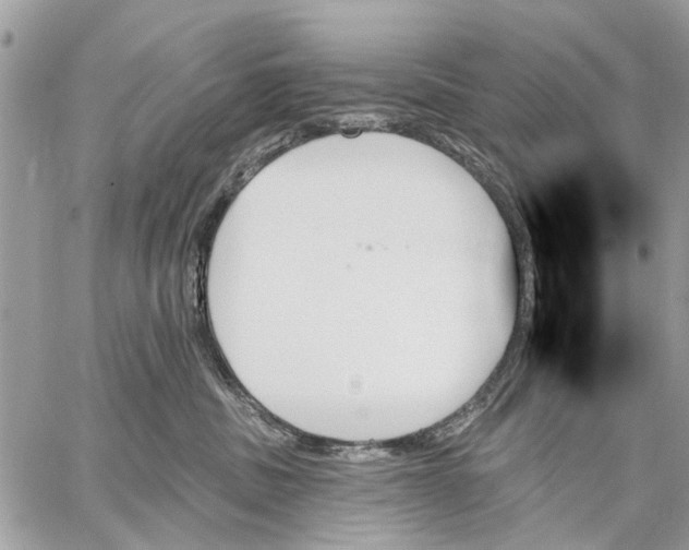 X0000059060379200510281639