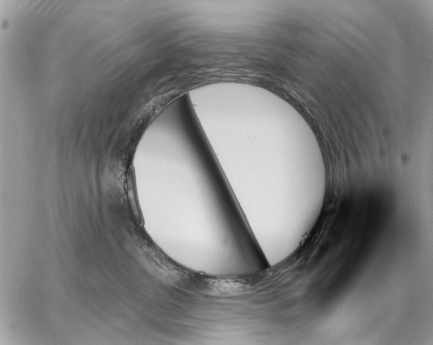 X0000059060380200510281639