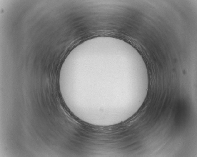 X0000059060383200510281639