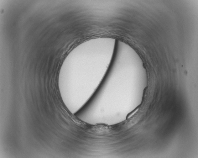 X0000059060384200510281639