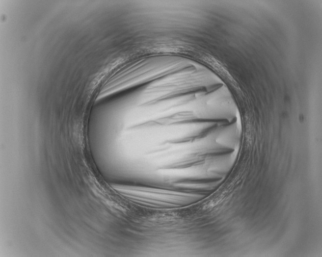 X0000059060386200510281638