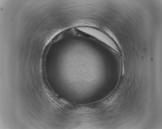 X0000059060387200510281638