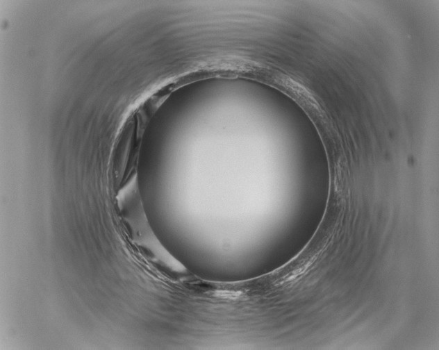 X0000059060388200510281638