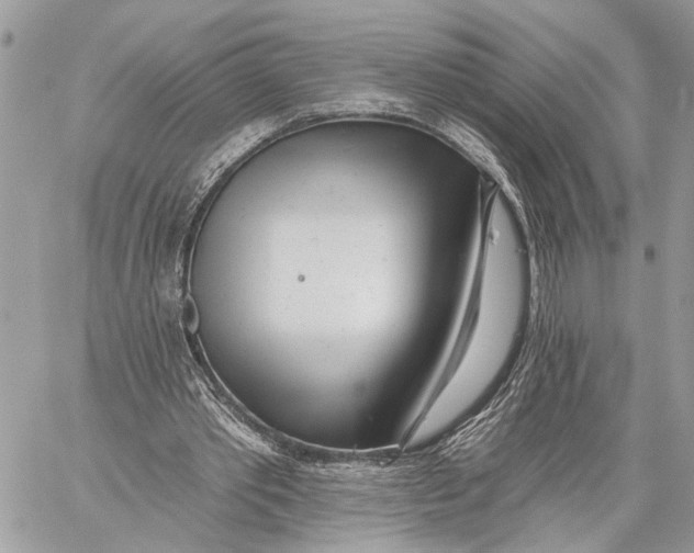 X0000059060389200510281638