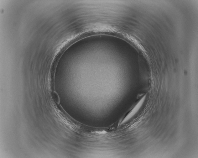 X0000059060391200510281638