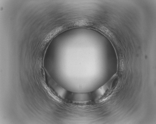 X0000059060393200510281638