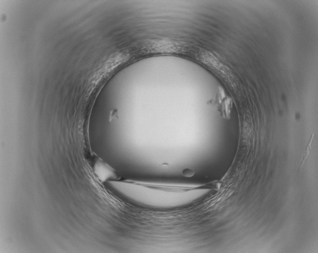 X0000059060394200510281638