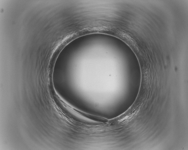 X0000059060395200510281638