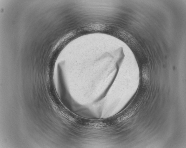 X0000059060396200510281638