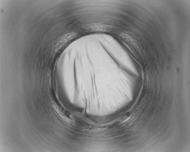 X0000059060398200510281638