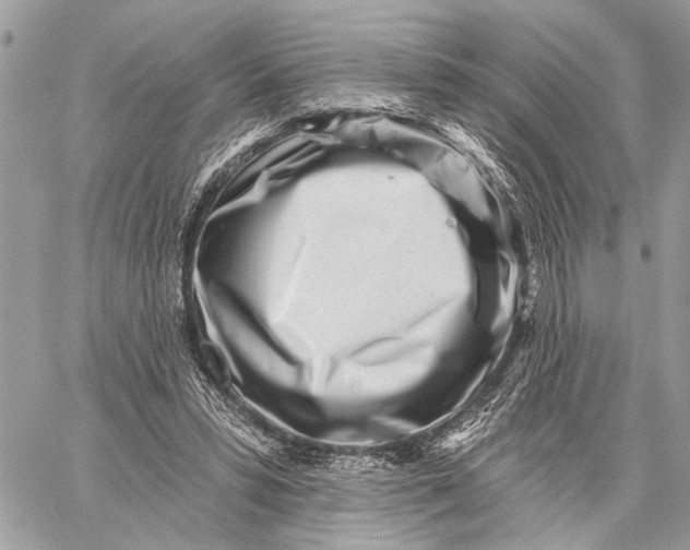 X0000059060399200510281638