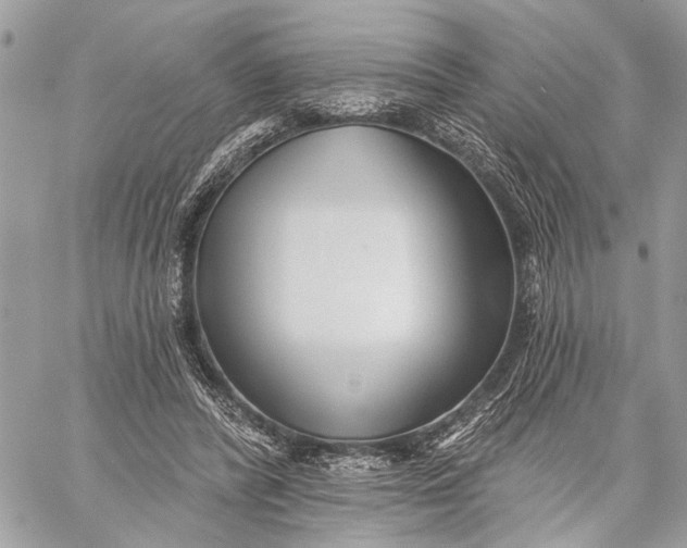 X0000059060400200510281638