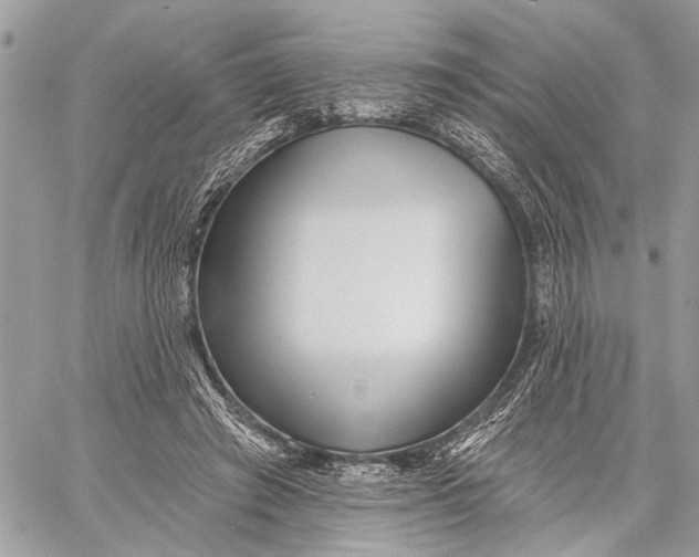 X0000059060401200510281638