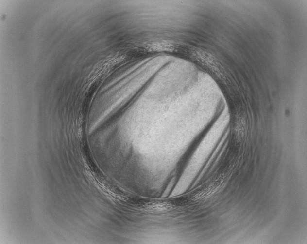 X0000059060402200510281638