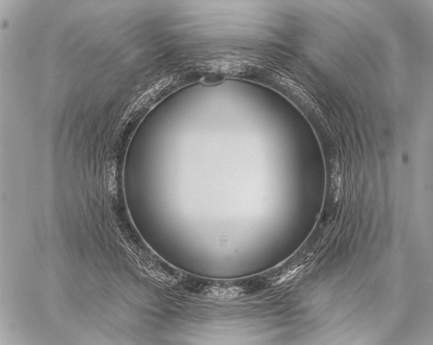 X0000059060403200510281638