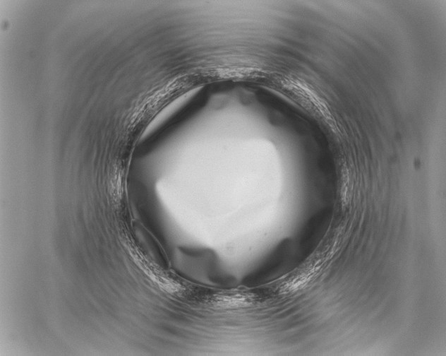 X0000059060405200510281638