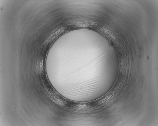 X0000059060406200510281638