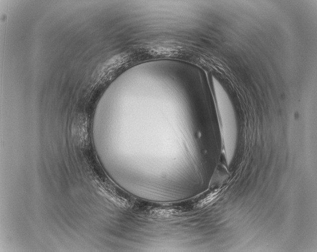 X0000059060408200510281637