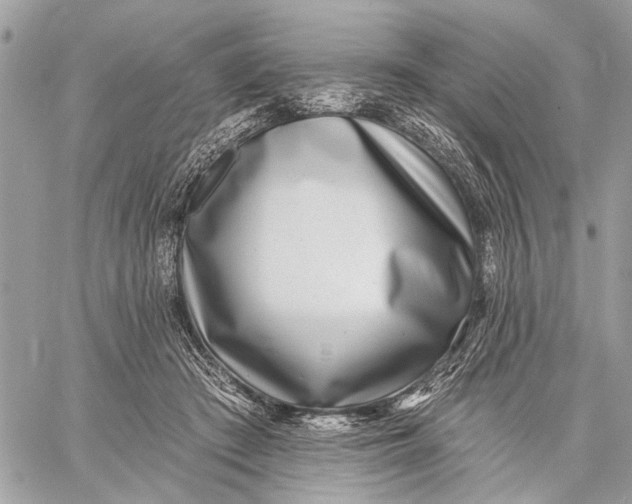 X0000059060409200510281637