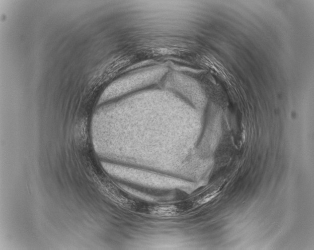 X0000059060410200510281637