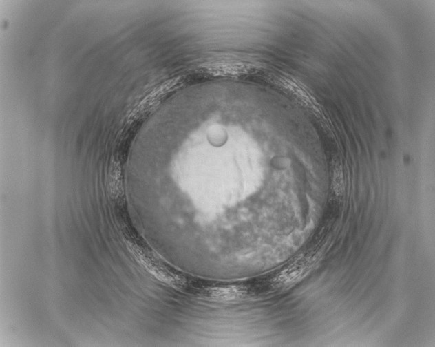 X0000059060411200510281637