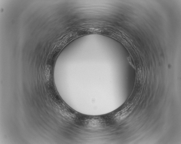 X0000059060412200510281637