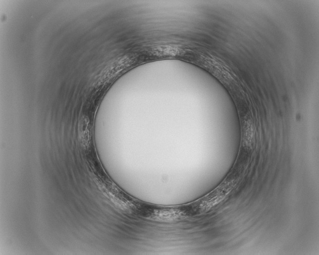 X0000059060414200510281637