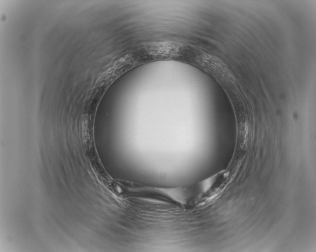 X0000059060416200510281637