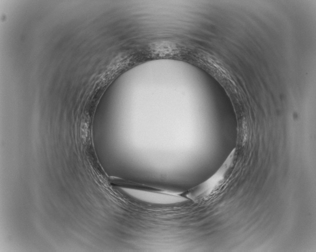 X0000059060417200510281637